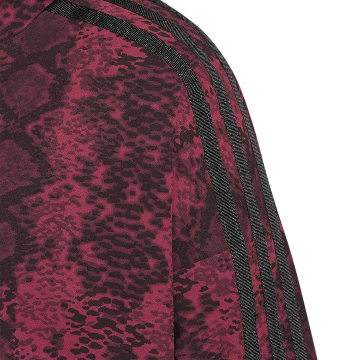 IVP WINDBREAKER