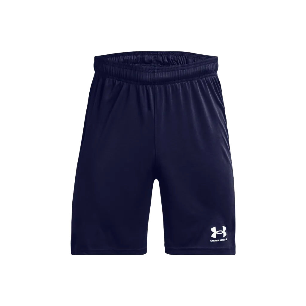 UA Men's Challenger Core Shorts